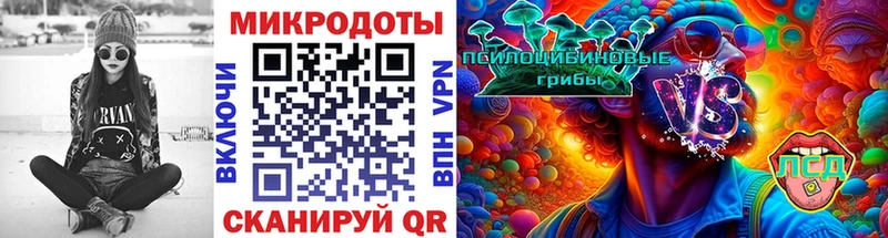 магазин продажи наркотиков  Лодейное Поле  Псилоцибиновые грибы мицелий 